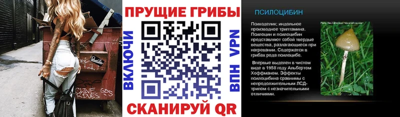 гидра вход  Лысьва  Галлюциногенные грибы Psilocybe 